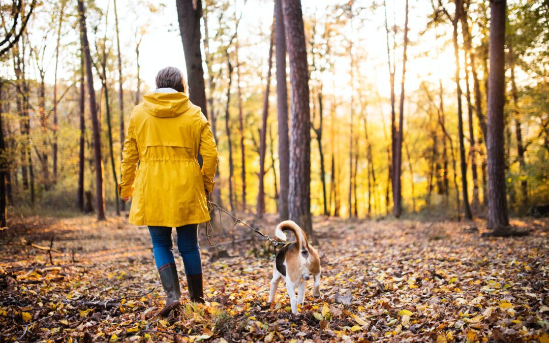 Barking Up the Right Trail: A Guide to Hiking with Your Dog